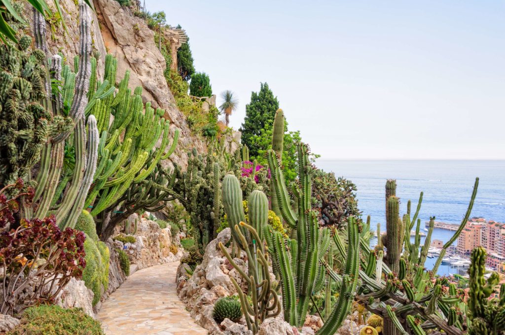 monaco-day-trip-jardin-exotique