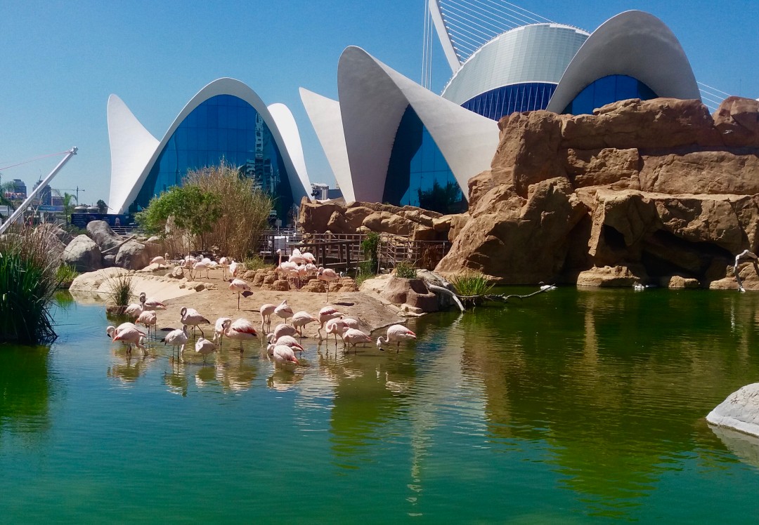 Valencia Walking Tour