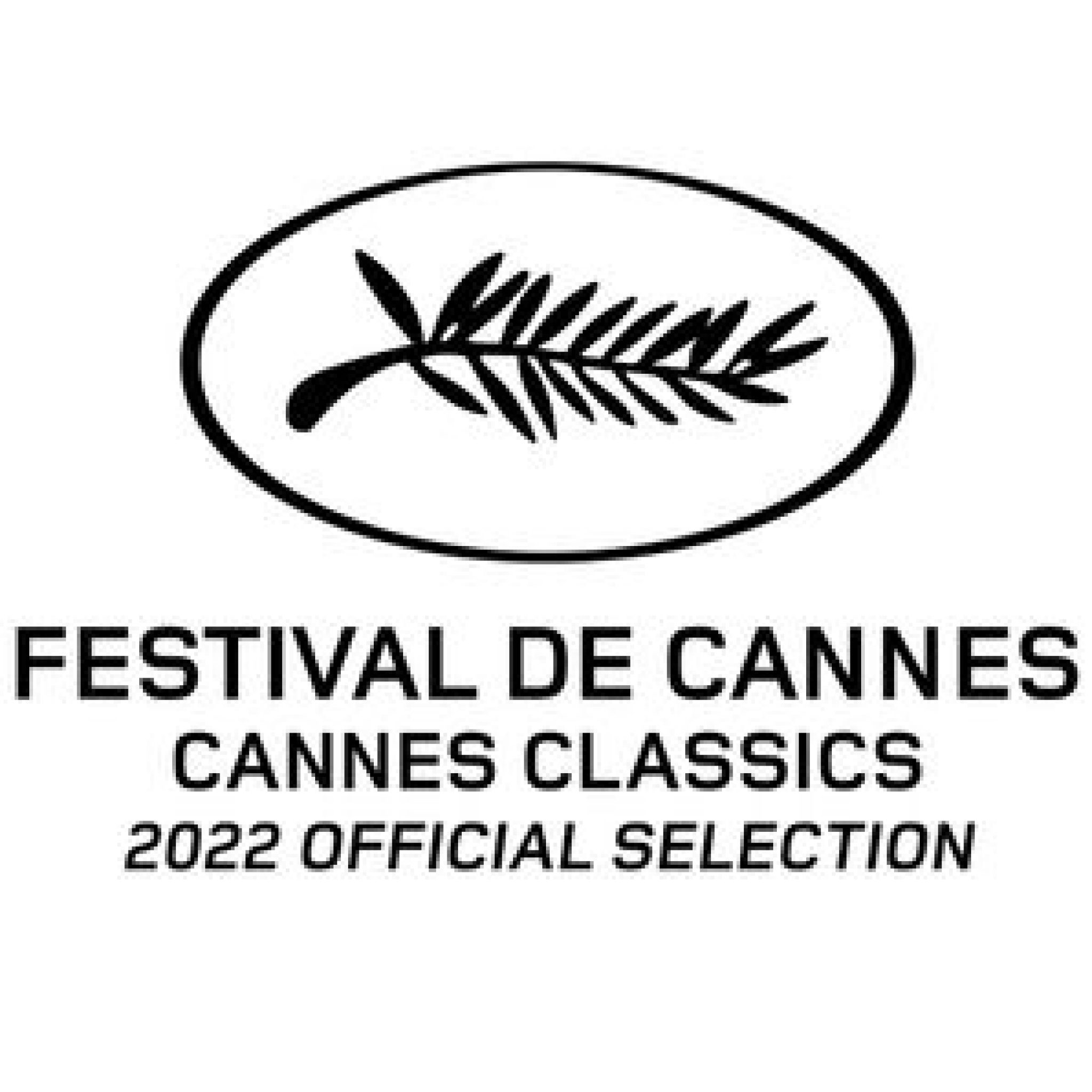 The Cannes Film Festival Riviera Bar Crawl Tours
