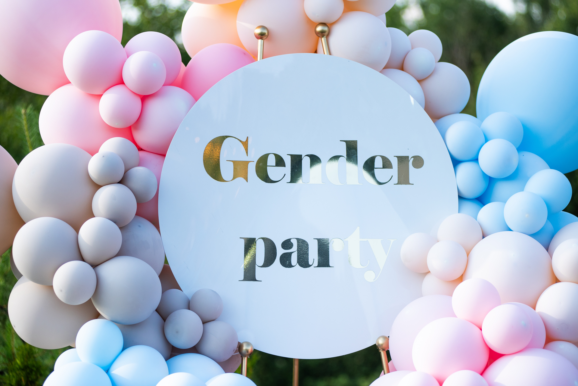 reveal gender party 